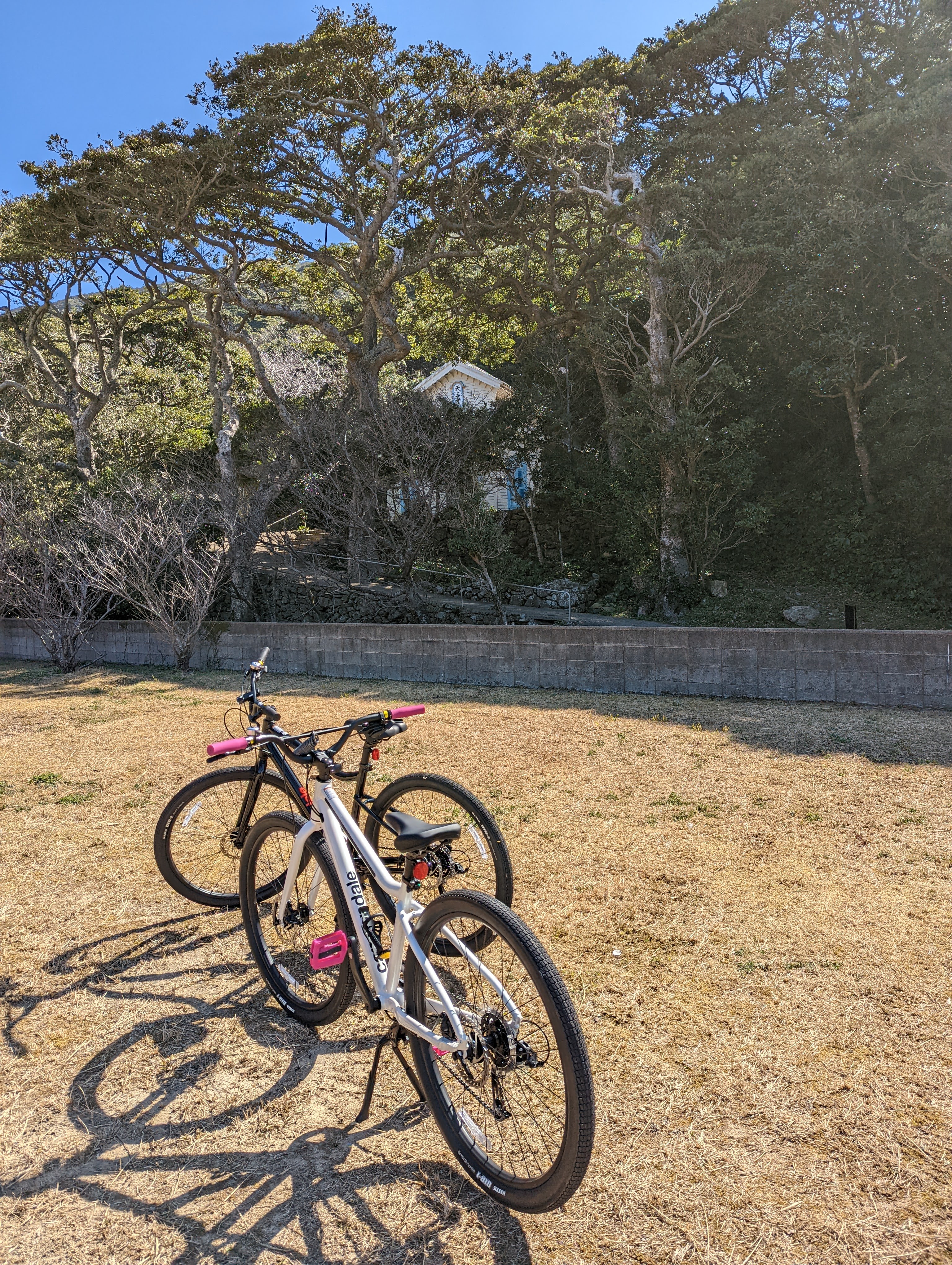 PXL_20220227_022314930